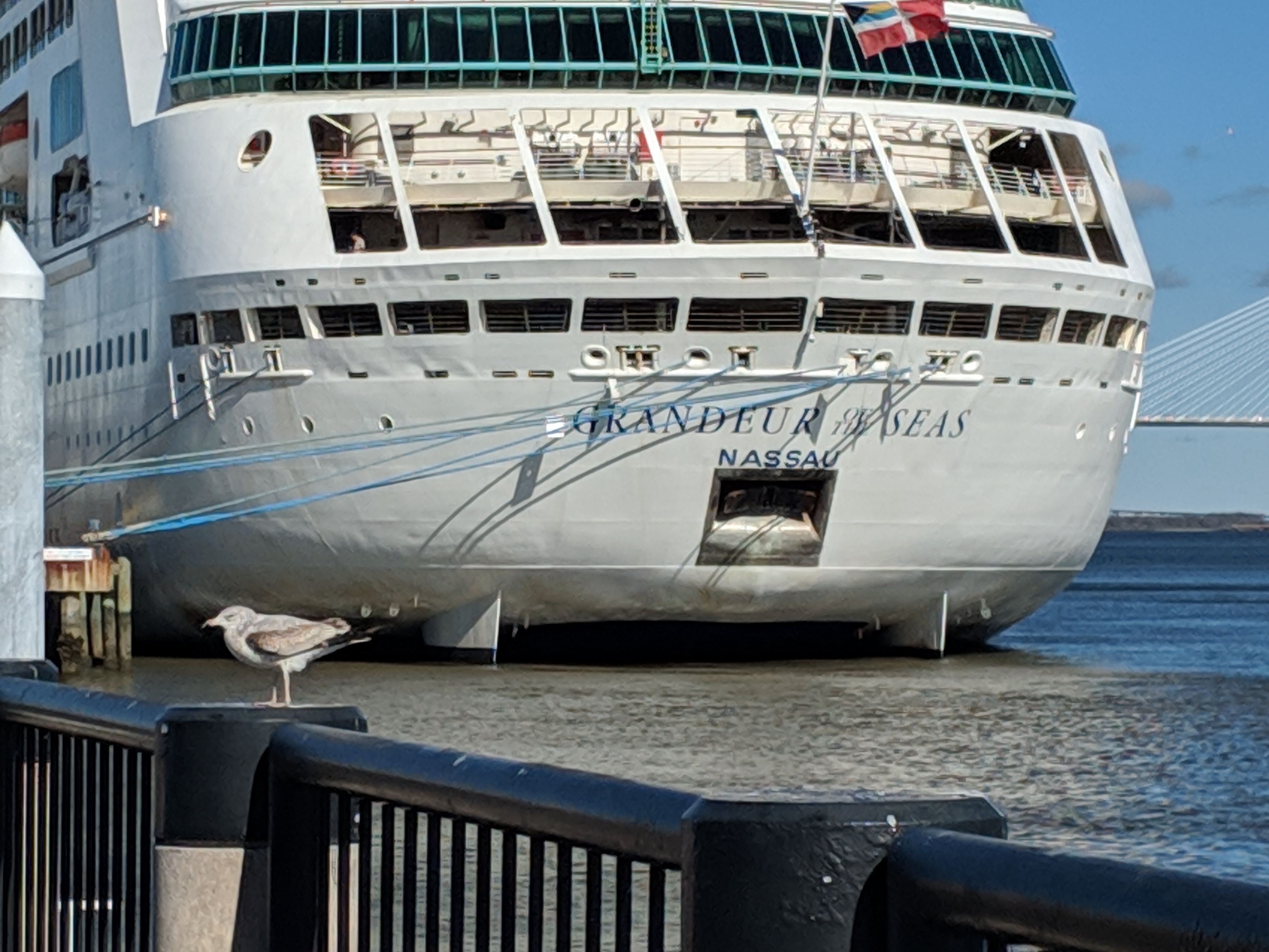 Grandeur of the Seas Cruise Review by davidlap - Jan 2019