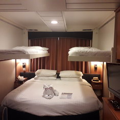 Oceanview Cabin 3118 On Radiance Of The Seas Category Sg